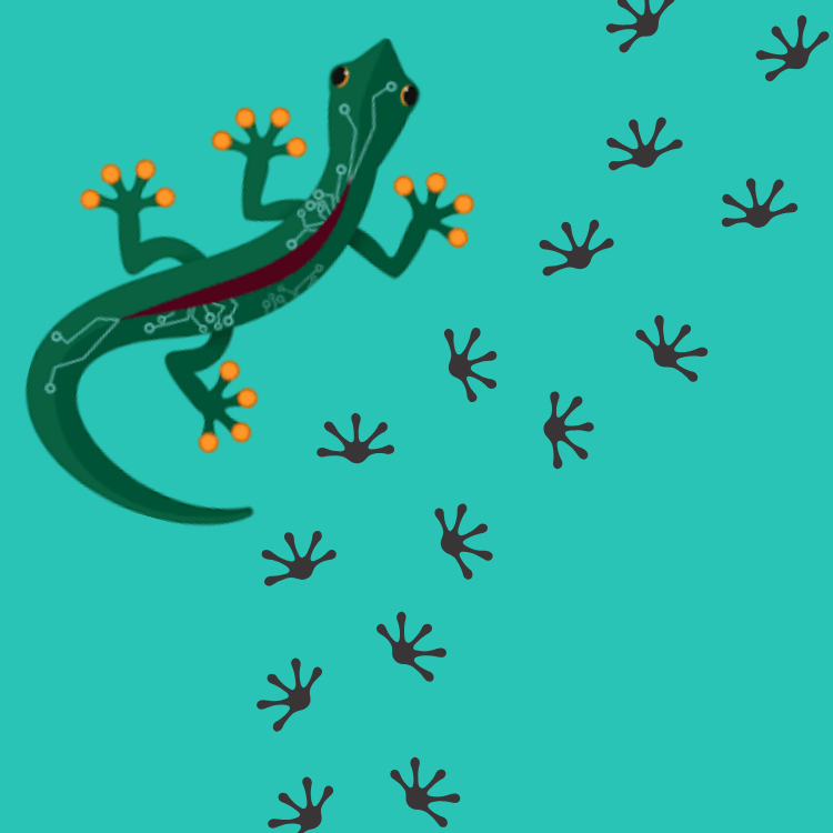 Fostering Focus: Strategies for Homeschool Families